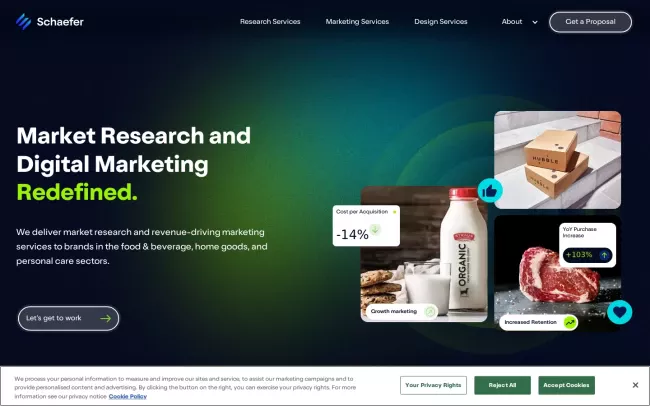 Screenshot of the Schaefer Market Research & Marketing Services Agency Website