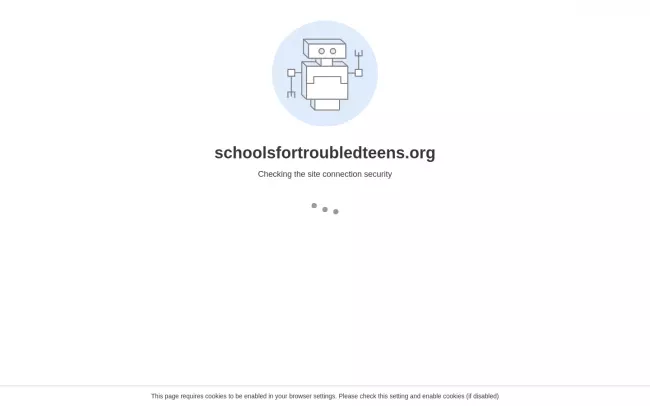 Screenshot of the Schools for Troubled Teens Website