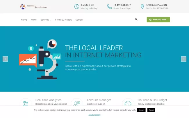 Screenshot of the Search Revolutions Website