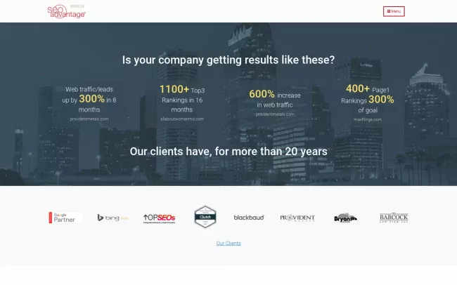 Screenshot of the SEO Advantage Website
