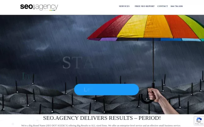 Screenshot of the SEO Agency NYC Website