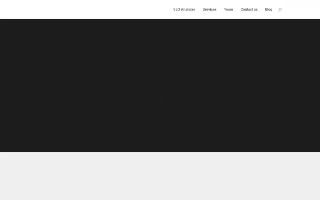 Screenshot of the SEO Digital Group Website