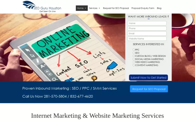 Screenshot of the SEO Guru Houston Website