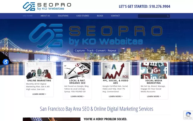 Screenshot of the SEO Pro Website