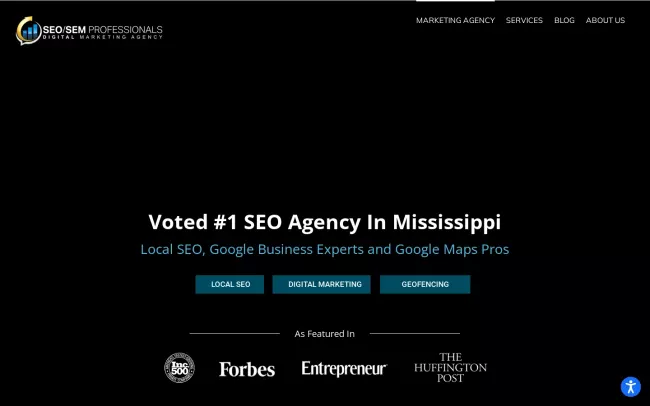 Screenshot of the SEO SEM Professionals Website