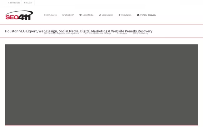 Screenshot of the SEO411 Website