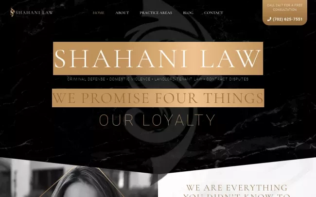 Screenshot of the Shahani Law, Ltd. Website