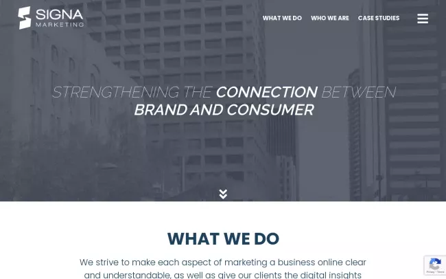 Screenshot of the Signa Marketing Website