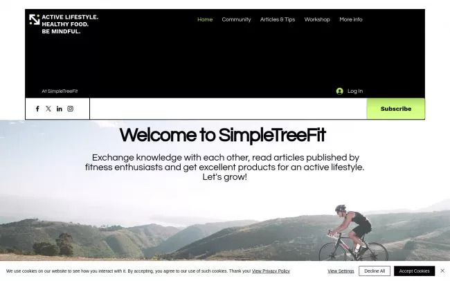 Screenshot of the SimpleTreeFit Blog