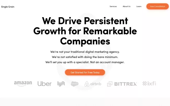 Screenshot of the Single Grain Website