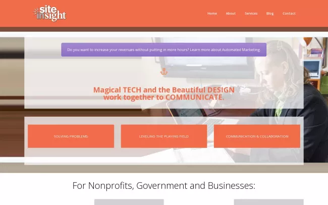Screenshot of the SiteInSight Website