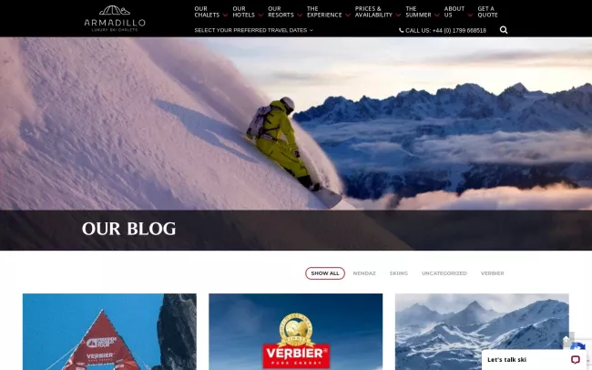 Screenshot of the Ski Armadillo Blog