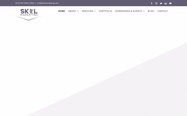 Screenshot of the Skol Marketing Website