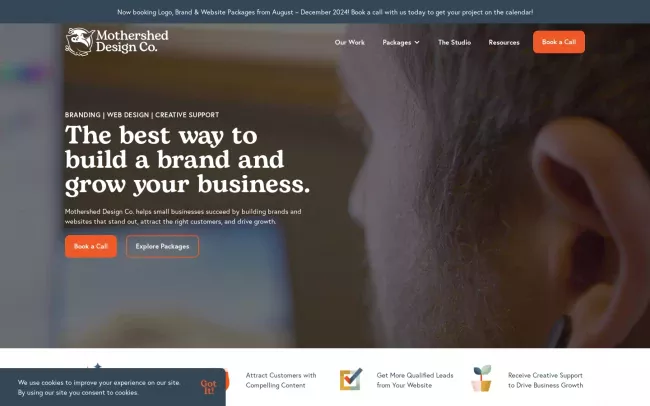 Screenshot of the Social Firm Website
