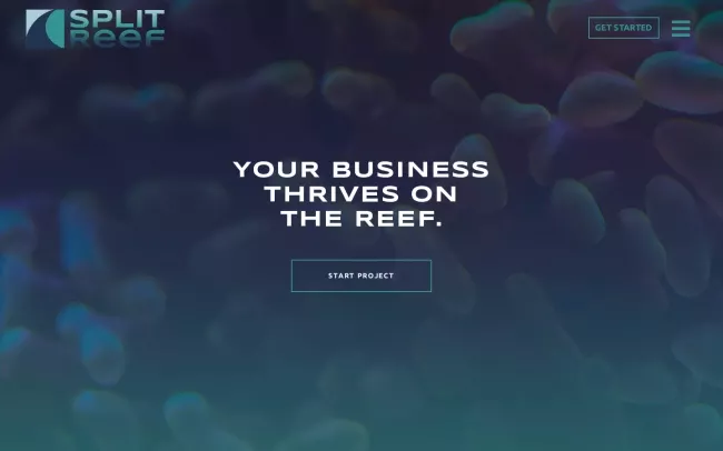 Screenshot of the Split Reef: Columbus Web Design Company Website
