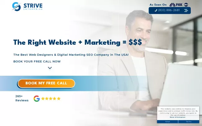 Screenshot of the Strive Enterprise Website