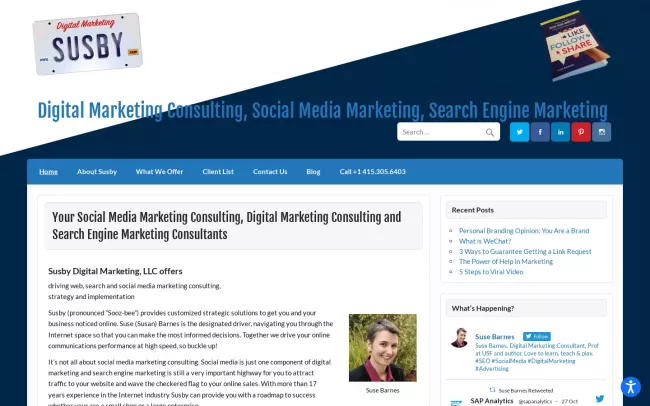 Screenshot of the Susby Digital Marketing Website