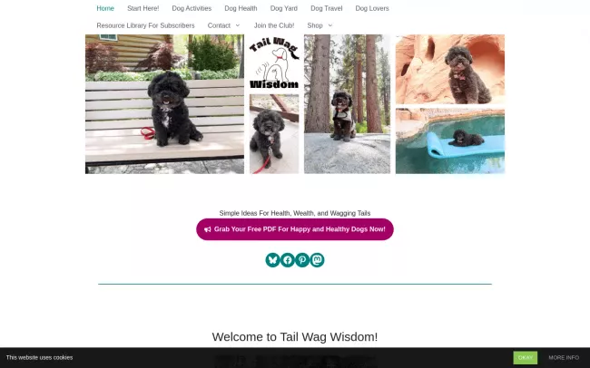Screenshot of the Tail Wag Wisdom Blog