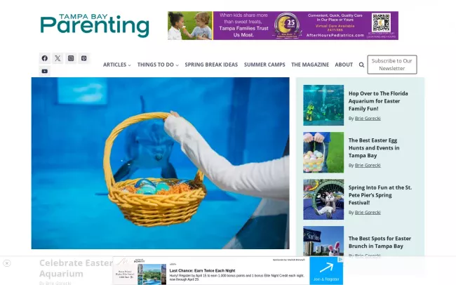 Screenshot of the Tampa Bay Parenting Magazine Blog