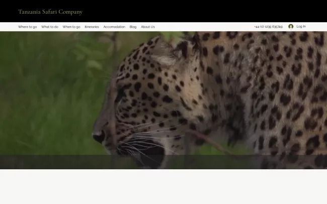 Tanzania Safari Company
