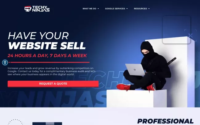 Screenshot of the Techy Ninjas Website