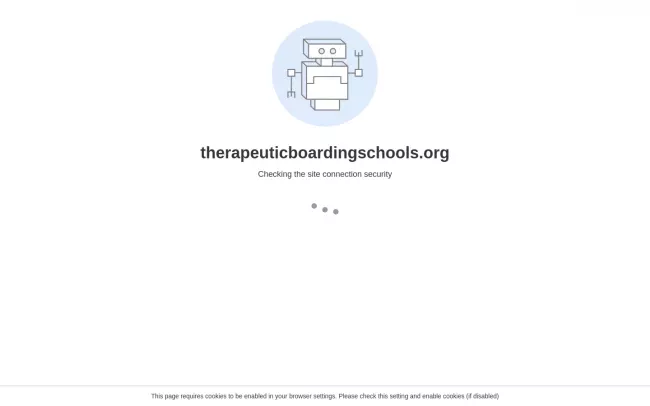 Screenshot of the Therapeutic Boarding Schools Website