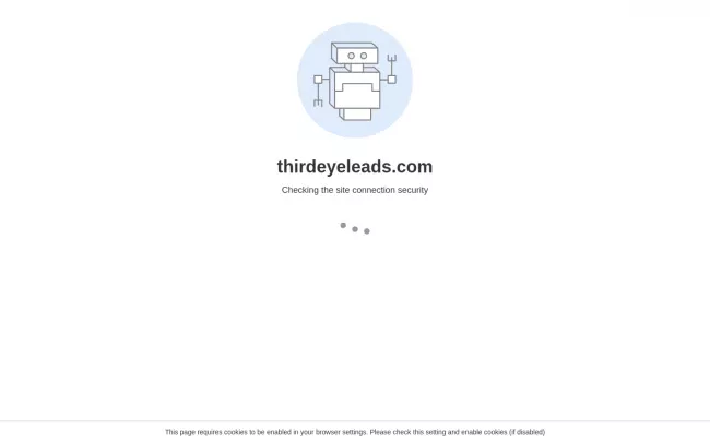 Screenshot of the Third Eye Leads Website