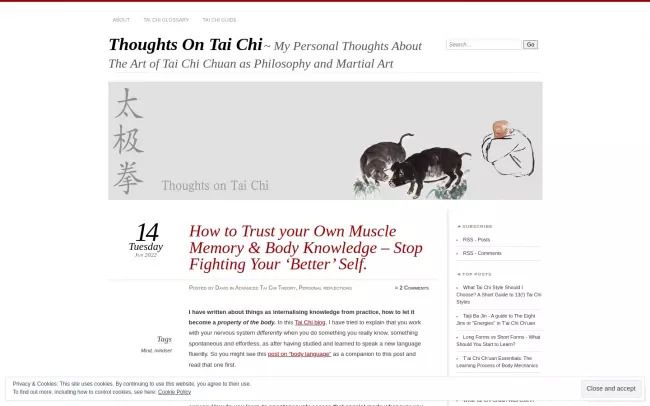 Thoughts on Tai Chi
