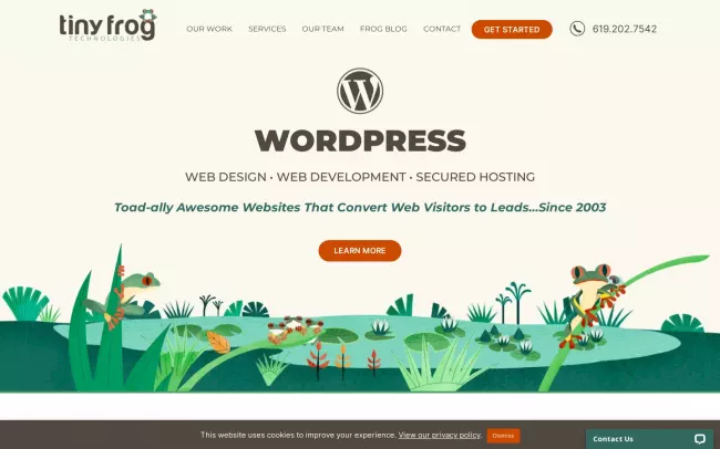 Screenshot of the Tiny Frog Technologies Website