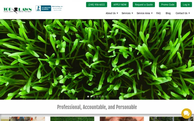 Screenshot of the Top Lawn Website
