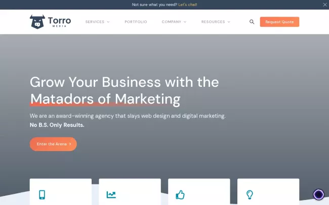 Screenshot of the Torro Media Website