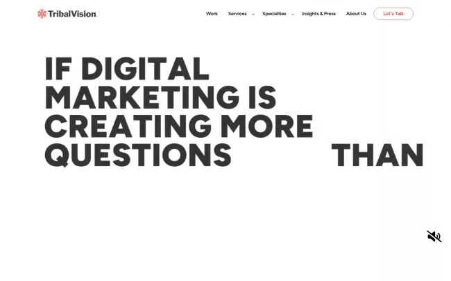 Screenshot of the TribalVision Website