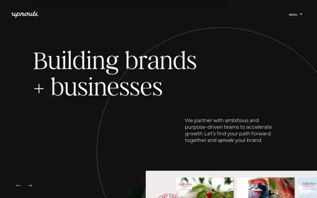 Screenshot of the UpRoute Website