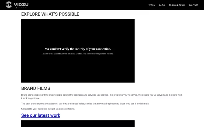 Screenshot of the Vidzu Media Website