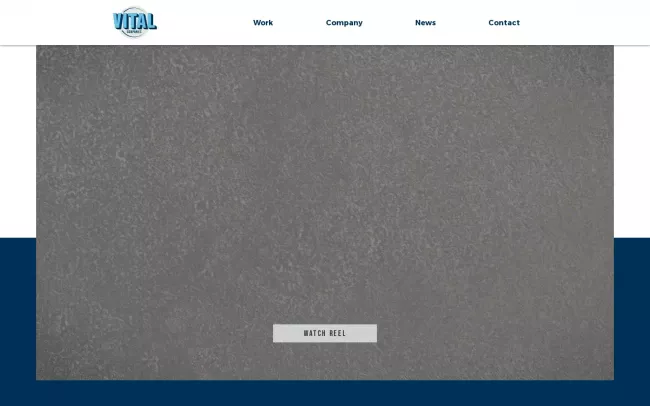 Screenshot of the Vital Companies Website