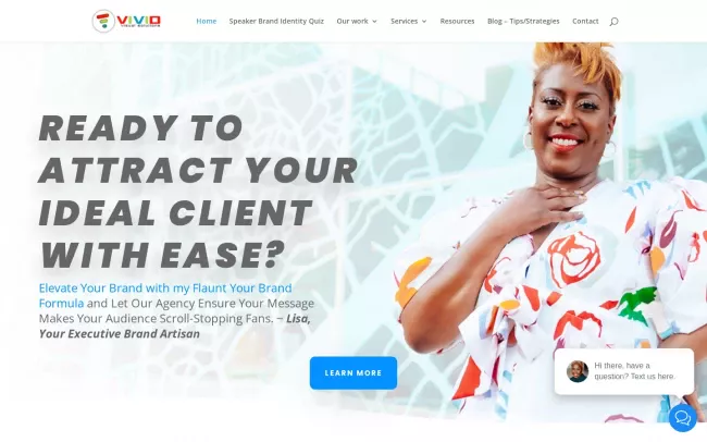 Screenshot of the Vivid Visual Solutions, LLC Website