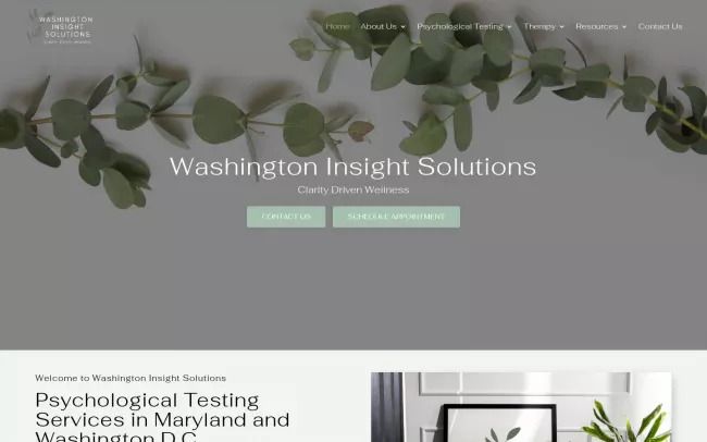 Screenshot of the Washington Insight Solutions Website