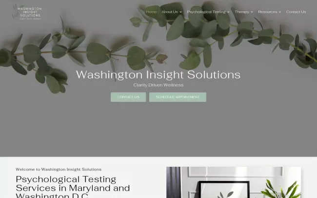 Screenshot of the Washington Insight Solutions Website
