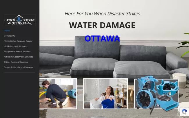 Screenshot of the Water Damage Ottawa Website