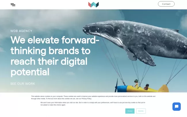Screenshot of the WDB Agency Website