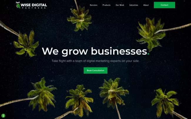 Screenshot of the WISE Digital Partners Website