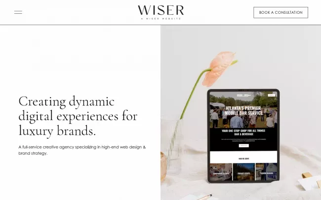 Screenshot of the A Wiser Website Website