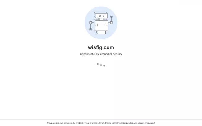 Wisfig - Web Design & SEO