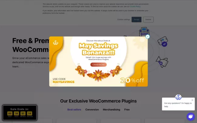 Screenshot of the WP Swings Website