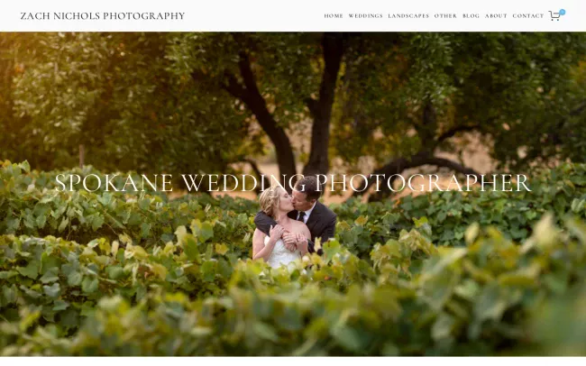 Screenshot of the Zach Nichols Photography Website