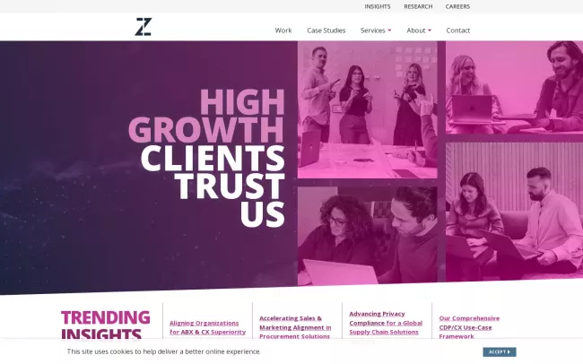 Screenshot of the Zion & Zion Website
