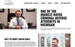 Boria Law - Criminal Defense Attorney