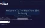 NEW YORK SEO Authority