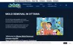 Ottawa Mold Removal-Orleans-Kanata