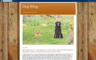 Dog Blog
